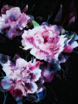 watercolor pink peonies
